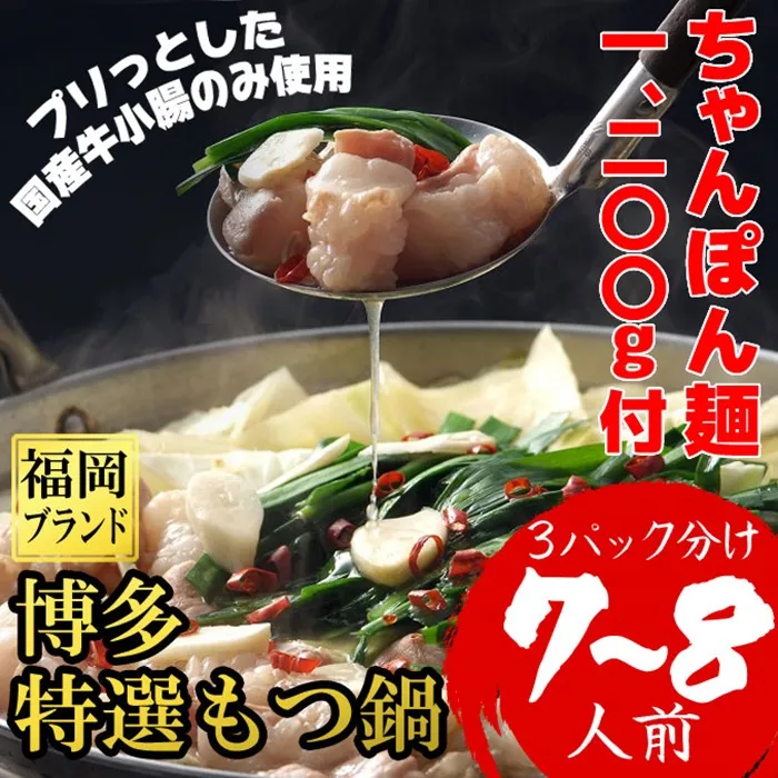 博多特選もつ鍋 7～8人前 4H16