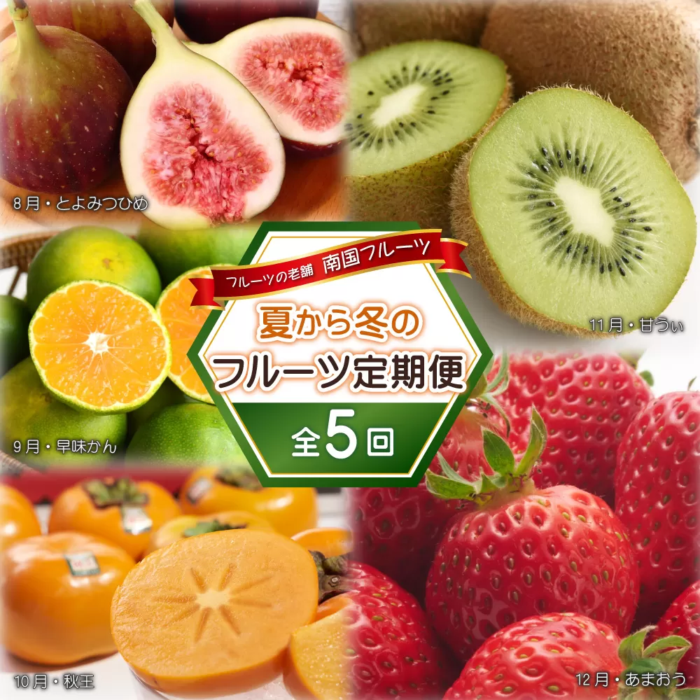  フルーツの老舗“南国フルーツ”の夏から冬のフルーツ定期便【全5回】3V22