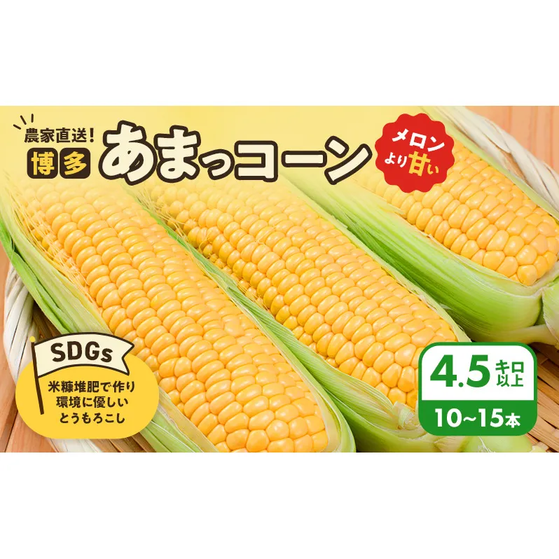 とうもろこし 農家直送！SDGs米糠堆肥で作った環境に優しいメロンより甘い 博多あまっコーン 4.5キロ以上 (10～15本) /酒見農産/トウモロコシ ※配送不可：離島
