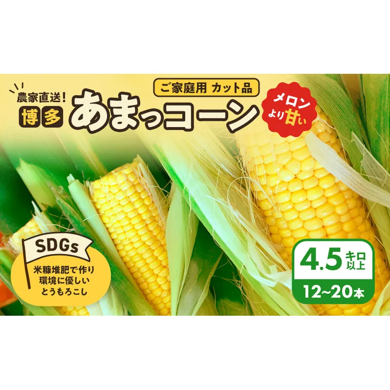 とうもろこし 農家直送！SDGs米糠堆肥で作った環境に優しいメロンより甘い 博多あまっコーン ご家庭用 カット品 4.5キロ以上 (12～20本) /酒見農産/トウモロコシ ※配送不可：離島