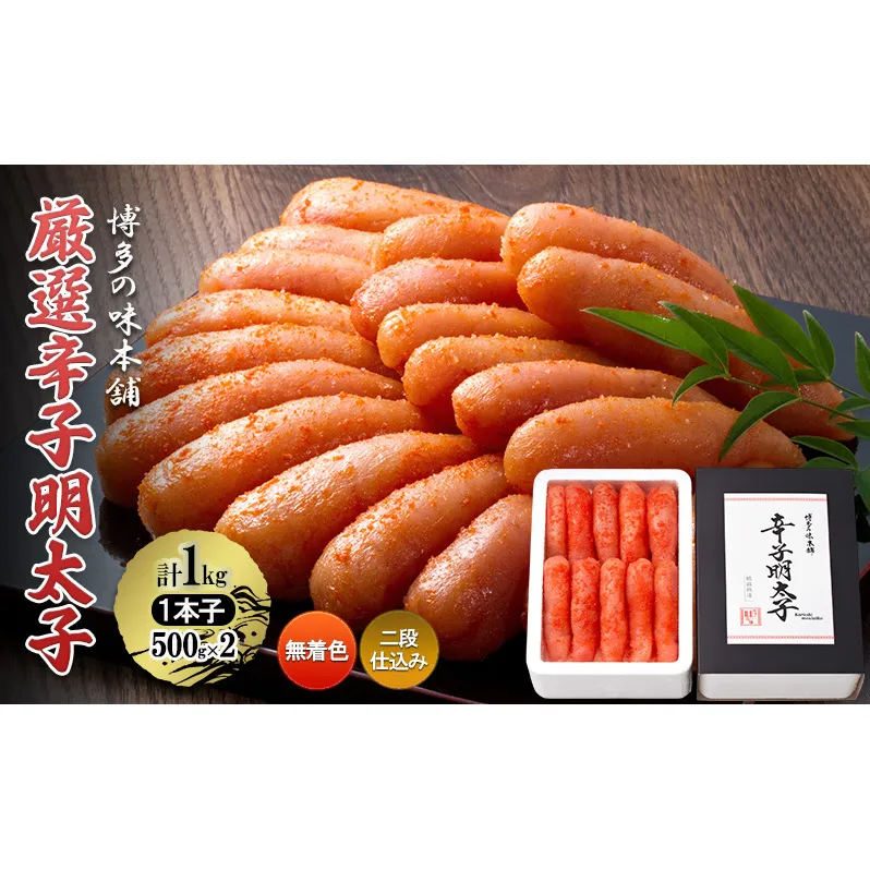 厳選 辛子明太子 計1kg (1本子)＜無着色・二段仕込み＞ 贈答用 化粧箱入り 明太子 めんたいこ