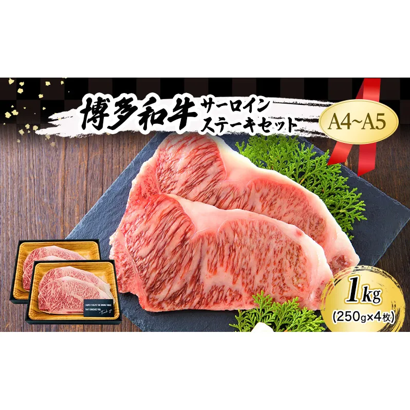 博多和牛 サーロインステーキ セット 1kg (250g×4枚)