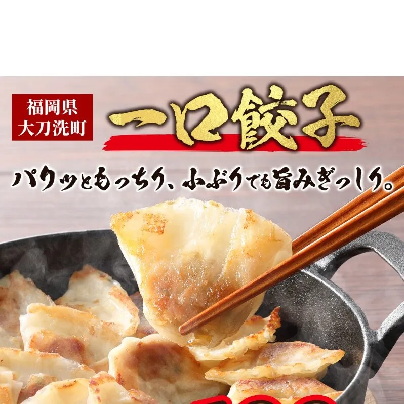 大刀洗 一口餃子 100個 特製たれ セット【ふるさと納税限定】 餃子
