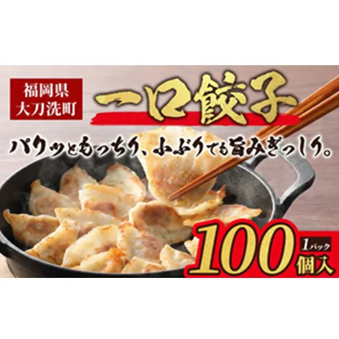 大刀洗 一口餃子 100個 特製たれ セット【ふるさと納税限定】 餃子