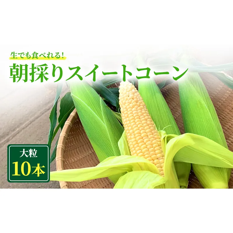 朝採り スイートコーン (10本入) とうもろこし ※離島配送不可