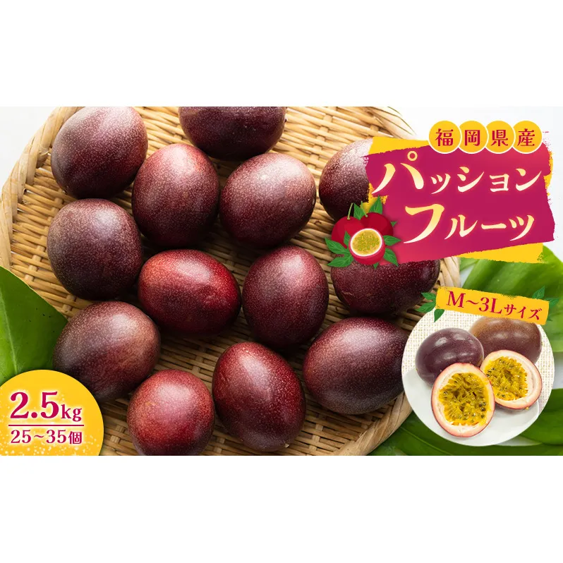 福岡県産 パッションフルーツ 2.5kg (M～3Lサイズ 25～35個) 果物 フルーツ ※配送不可:離島