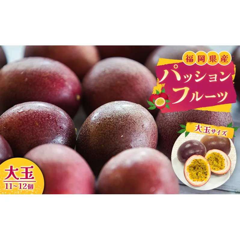福岡県産 パッションフルーツ 大玉 11～12個 果物 フルーツ ※配送不可:離島