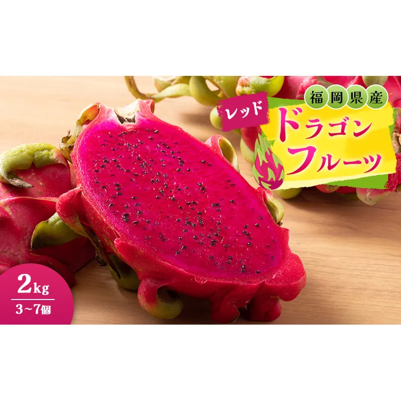福岡県産 ドラゴンフルーツ レッド 2kg (3～7個) 果物 フルーツ ※配送不可:離島