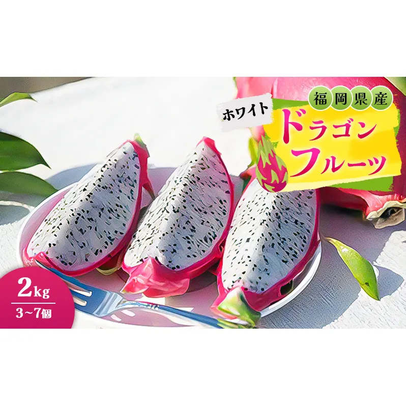 福岡県産 ドラゴンフルーツ ホワイト 2kg (3～7個) 果物 フルーツ ※配送不可:離島