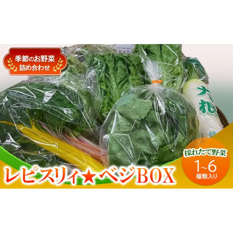 野菜 セット レピスリィ★ベジBOX 季節のお野菜 1～6種類 詰め合わせ ※配送不可：北海道、沖縄、離島