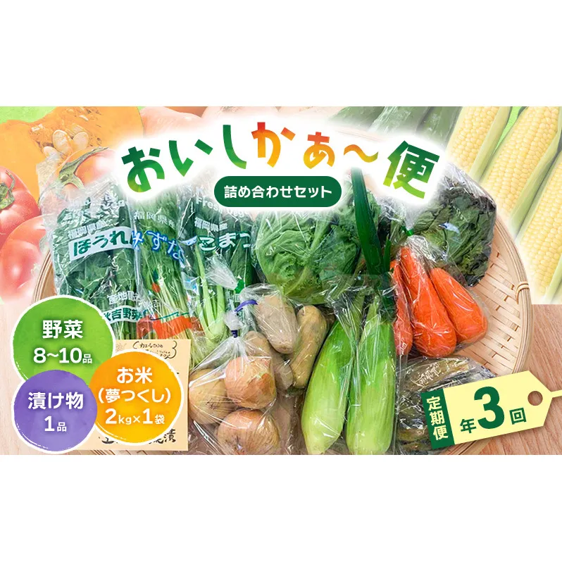 定期便 3ヶ月 おいしかぁ～便 詰め合わせ セット 年3回