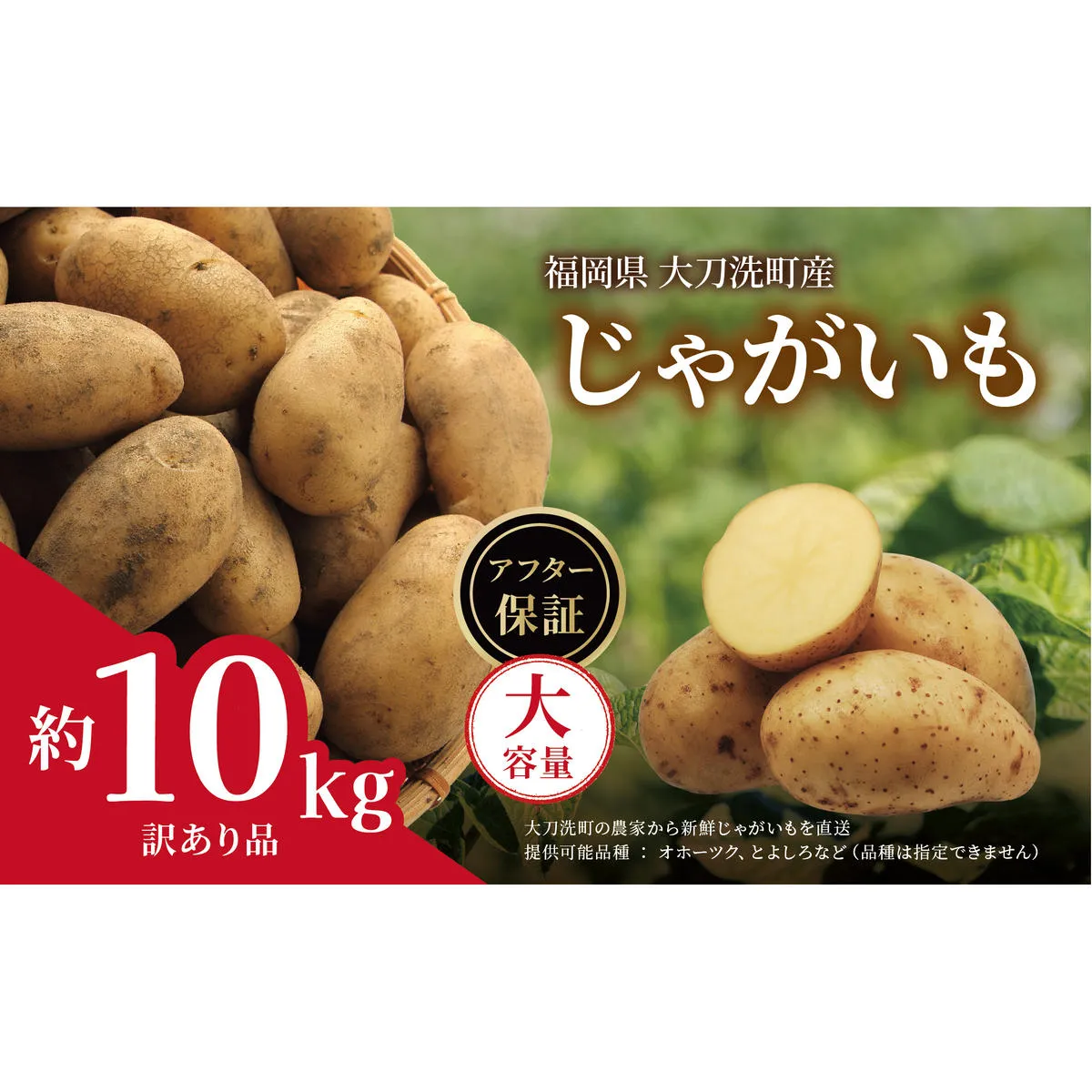 訳あり 大容量 福岡県 大刀洗町産 じゃがいも 約10kg 野菜 ジャガイモ