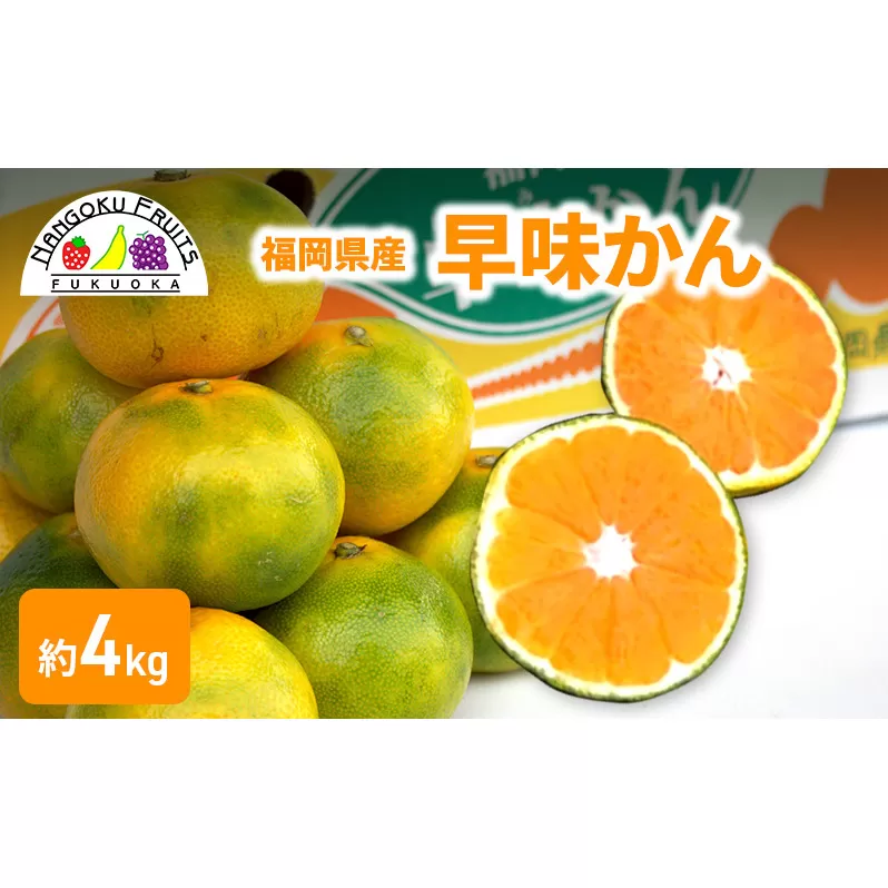 みかん 福岡ブランド みかん・早味かん 約4kg 柑橘 ミカン フルーツ 果物 ※配送不可:離島
