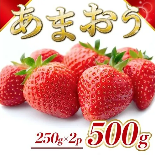 苺 福岡県産 あまおう 500g（2パック） 先行予約 発送予定：2026年2月より順次発送 いちご イチゴ 果物 ※配送不可:離島