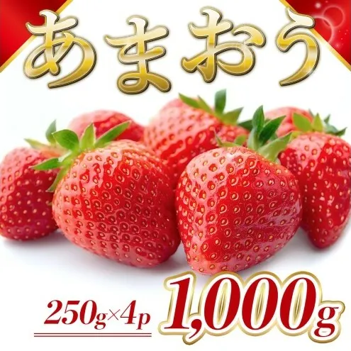 苺 福岡県産 あまおう 1000g（4パック） 先行予約 発送予定：2026年2月より順次発送 いちご イチゴ 果物 ※配送不可:離島