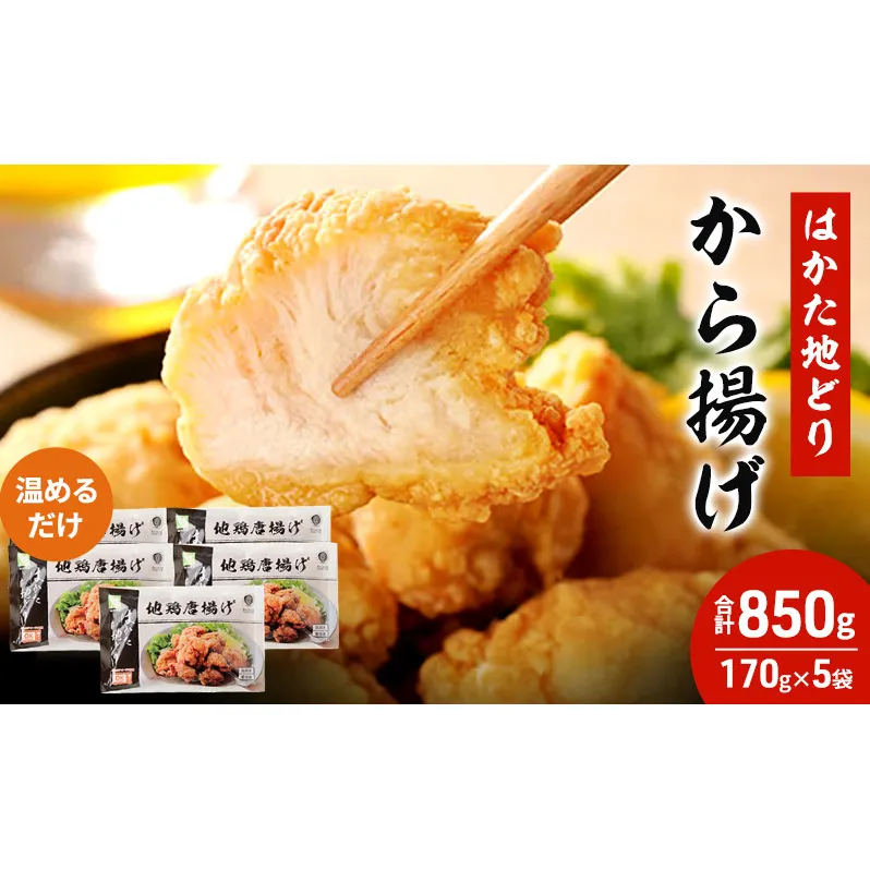 はかた地どり から揚げ 5セット 温めるだけ 唐揚げ 鶏肉 お肉 レンジ 調理 ※配送不可：離島