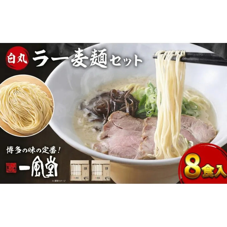 一風堂 白丸 ラー麦麺セット 8食入 豚骨ラーメン ラーメン とんこつ