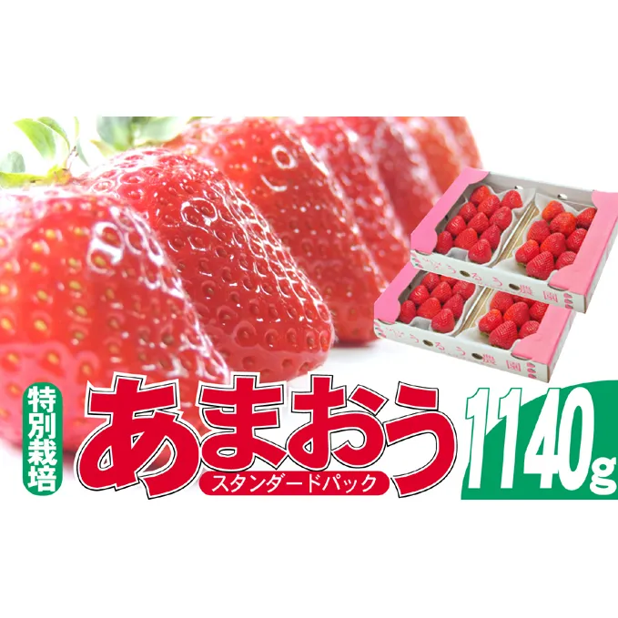 いちご 2025年12月より発送 うるう農園のあまおう スタンダード4パック 約1.14kg 果物 フルーツ デザート 食後 特別栽培 福岡県産 国産 日本産 ※配送不可：離島