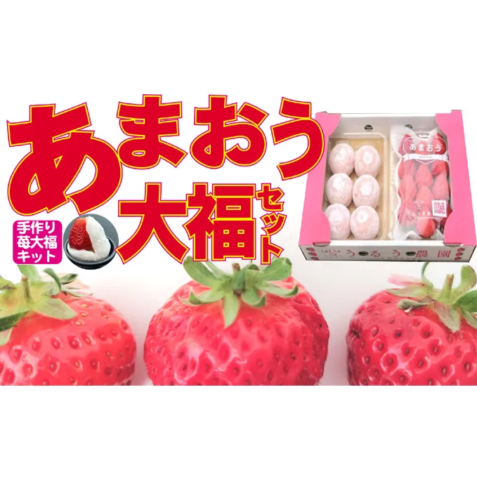 いちご 2025年12月より発送 うるう農園のあまおう大福キット(あまおう1パック＋大福6個セット) 果物 和菓子 生菓子 苺大福 フルーツ 和スイーツ 特別栽培 福岡県産 おやつ ※配送不可：離島