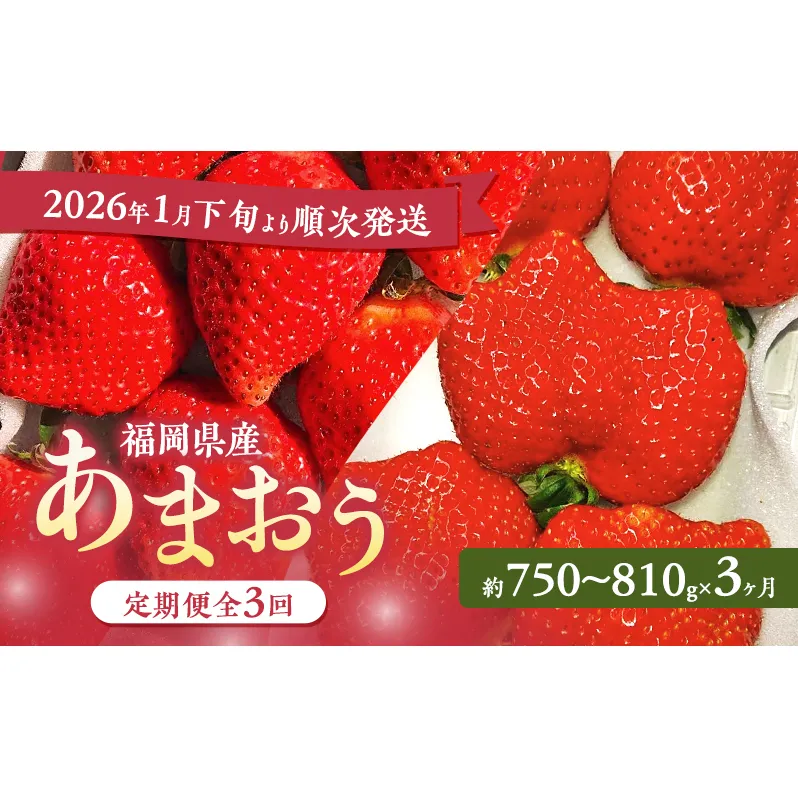 あまおう 定期便 3回 【2026年1月下旬より順次発送】【3ヶ月定期便】あまおう 3パック×3回 イチゴ 苺 いちご 果物 福岡県産 ※配送不可:離島