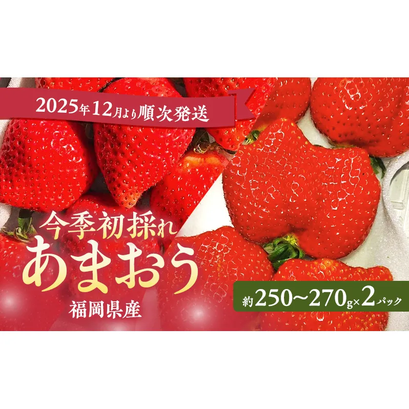 あまおう 【2025年12月より順次発送】 今季初採れあまおう 2パック【数量限定】イチゴ 苺 いちご 果物 福岡県産 限定 ※配送不可:離島