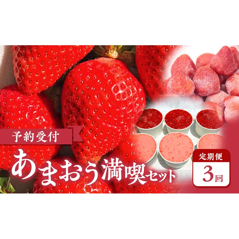 【2026年3月上旬より発送開始】【予約受付・3回定期便】あまおう満喫セット ※配送不可：北海道・沖縄県・離島