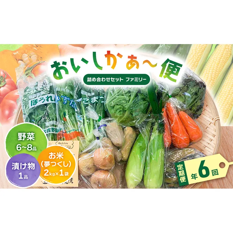 【定期便 年6回】おいしかぁ～便 詰め合わせセット 6ヶ月 お楽しみ ファミリーセット 家族用 野菜 やさい 米 新鮮 新鮮野菜 家庭用 新鮮 福岡県 大刀洗町