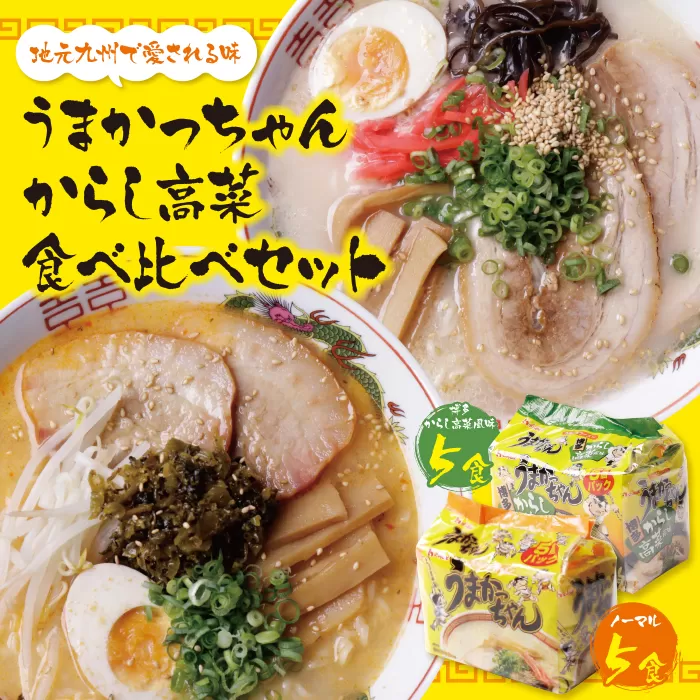 うまかっちゃん 博多からし高菜・豚骨ラーメン食べ比べセット(5食×2)