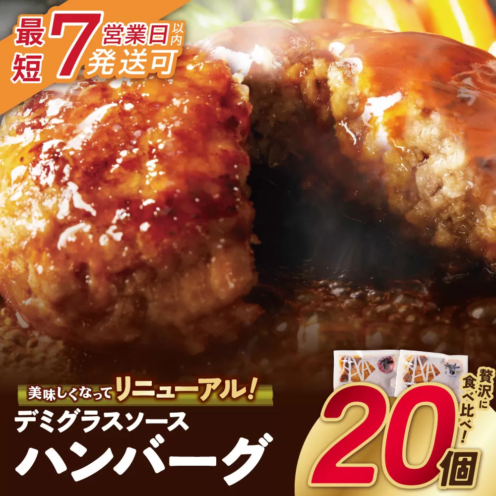  【7営業日以内発送】どっちのハンバーグ!?デミグラスソース（ビーフ・合挽 各10個）