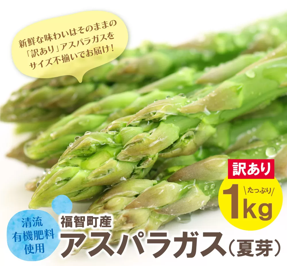 [訳あり]清流・自然栽培 アスパラガス(夏芽) 1kg
