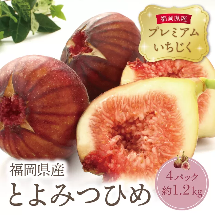  とよみつひめイチジク(4ﾊﾟｯｸ) 詰合せ いちじく