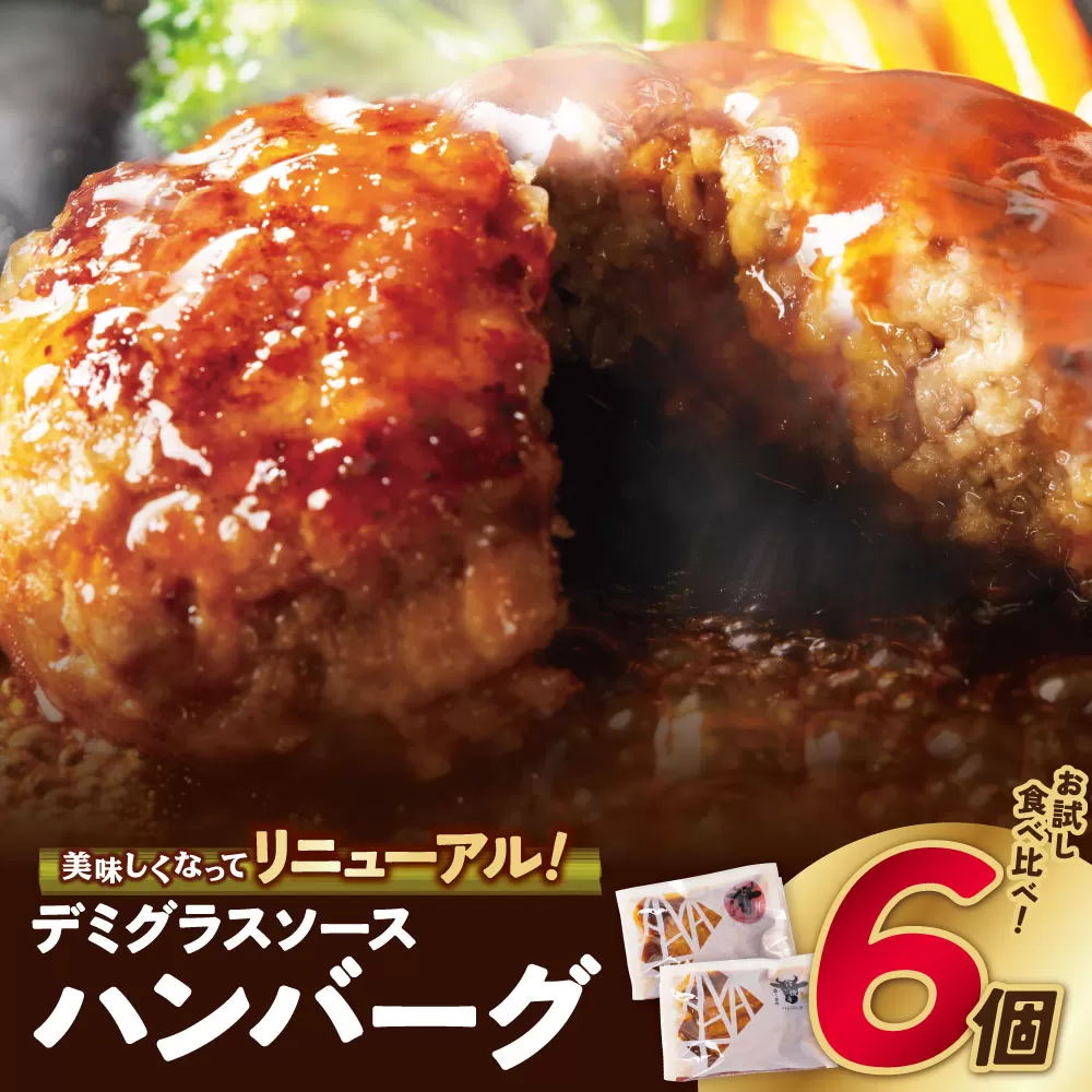 どっちのハンバーグ!?デミグラスソース150g×6個（ビーフ・合挽 各3個）