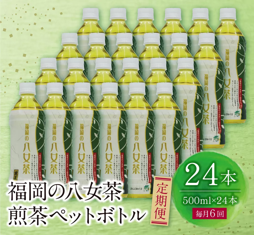 福岡の八女茶 煎茶ペットボトル(24本)定期便(毎月×6回)