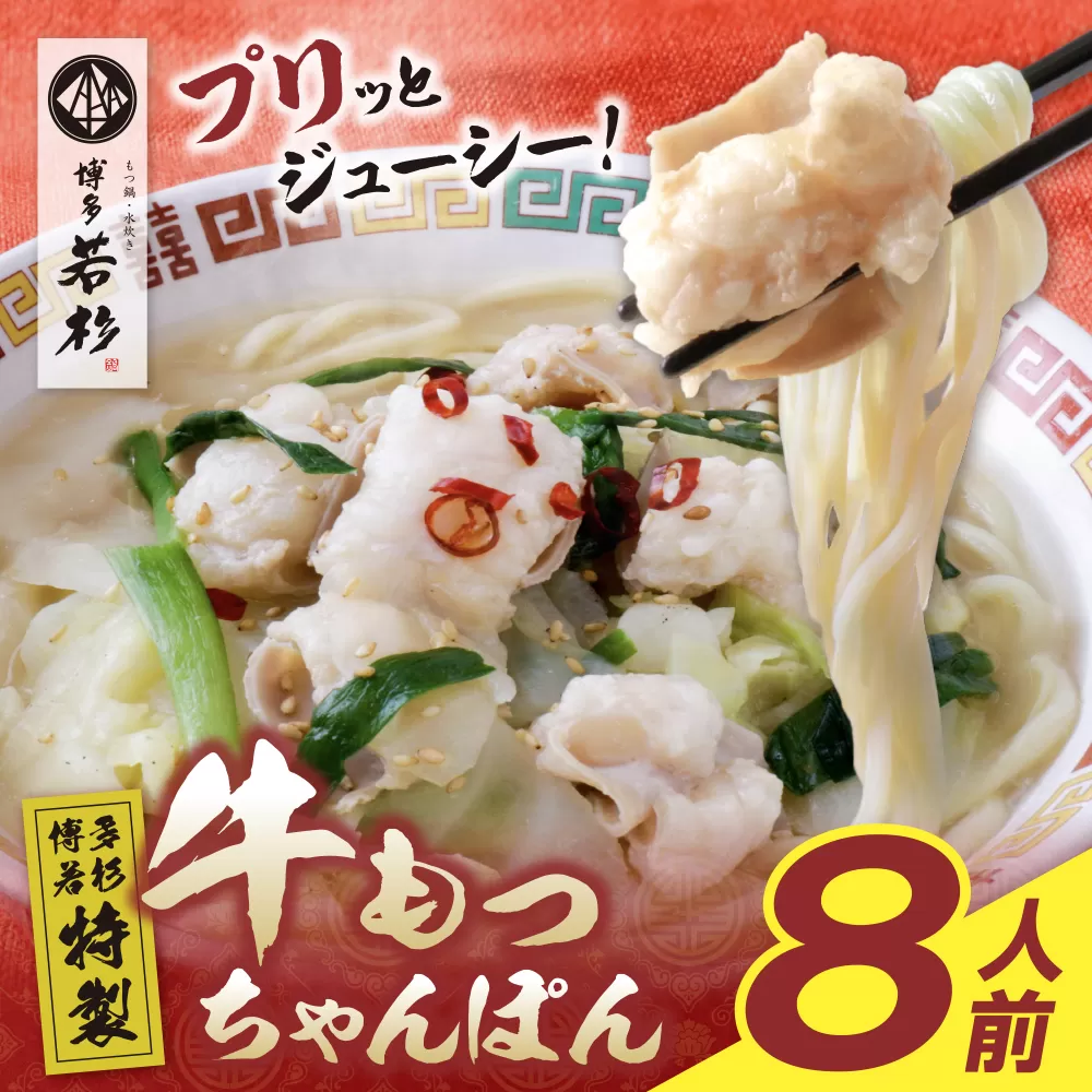 博多若杉もつちゃんぽん　8食セット