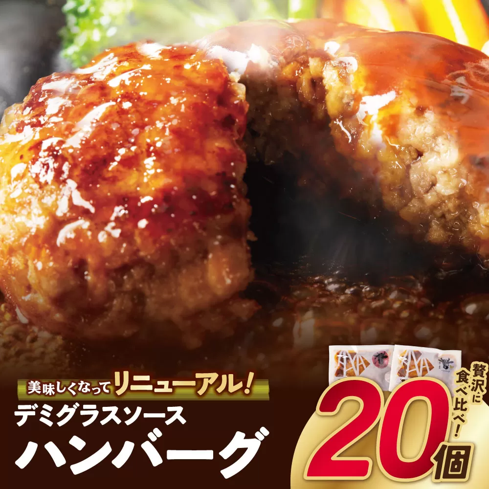 どっちのハンバーグ!?デミグラスソース（ビーフ・合挽 各10個）
