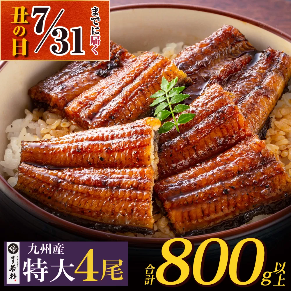 [7/31までにお届け] 国産うなぎ蒲焼特大サイズ4尾(計800g以上)