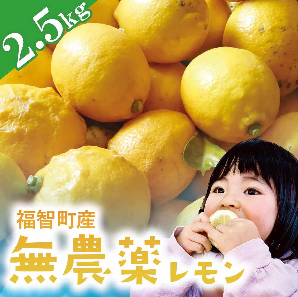 福智町産 無農薬 レモン 2.5kg (約16～20個)