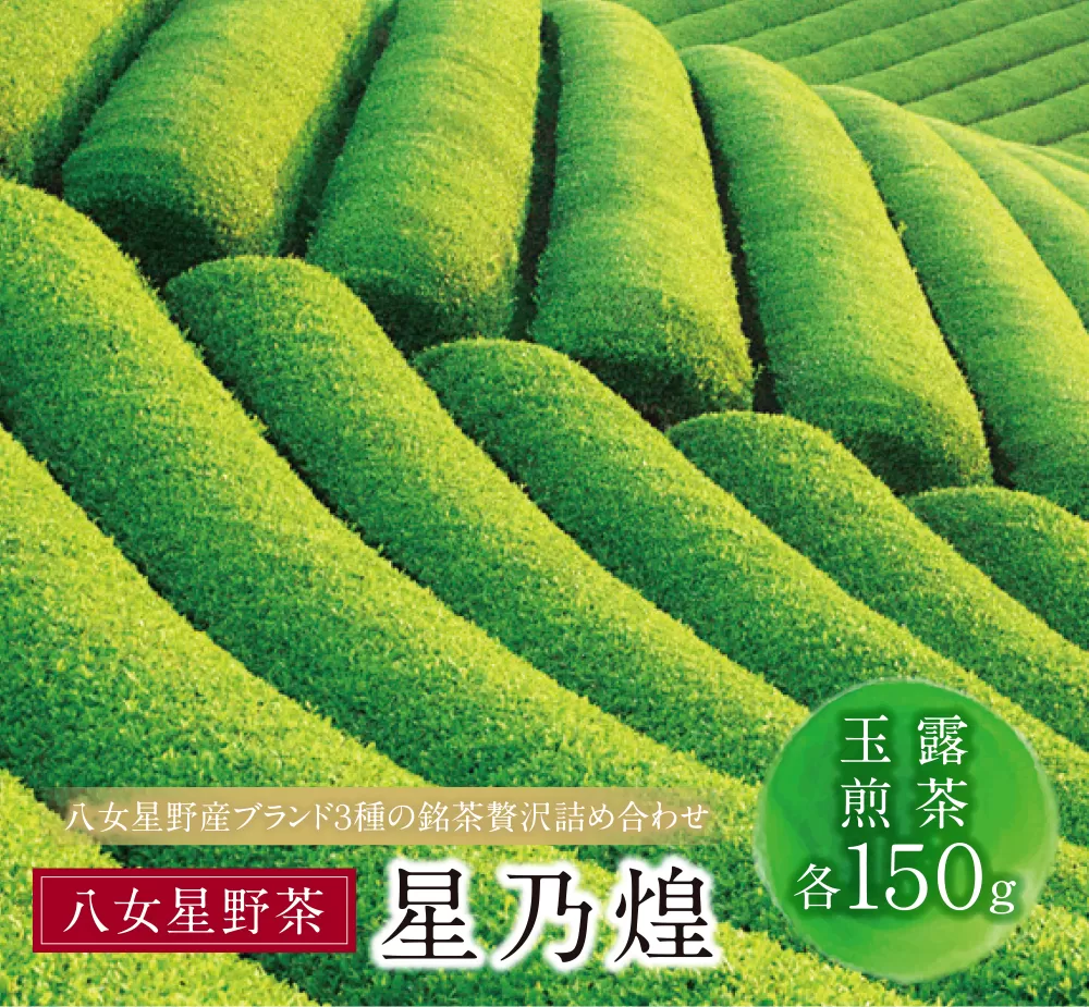 八女星野「星乃煌」(玉露・煎茶 各150g)