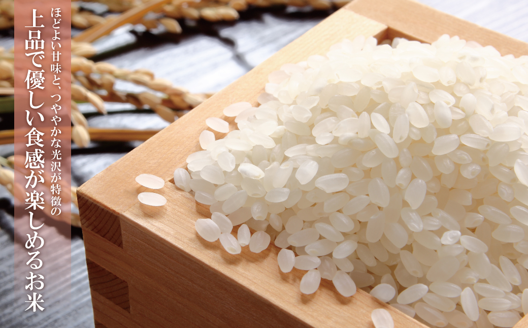 米　新米　福岡県産　夢つくし　15kg  精米 米 令和7年産 福岡県産 夢つくし 15kg 【14営業日以内に発送】CY010