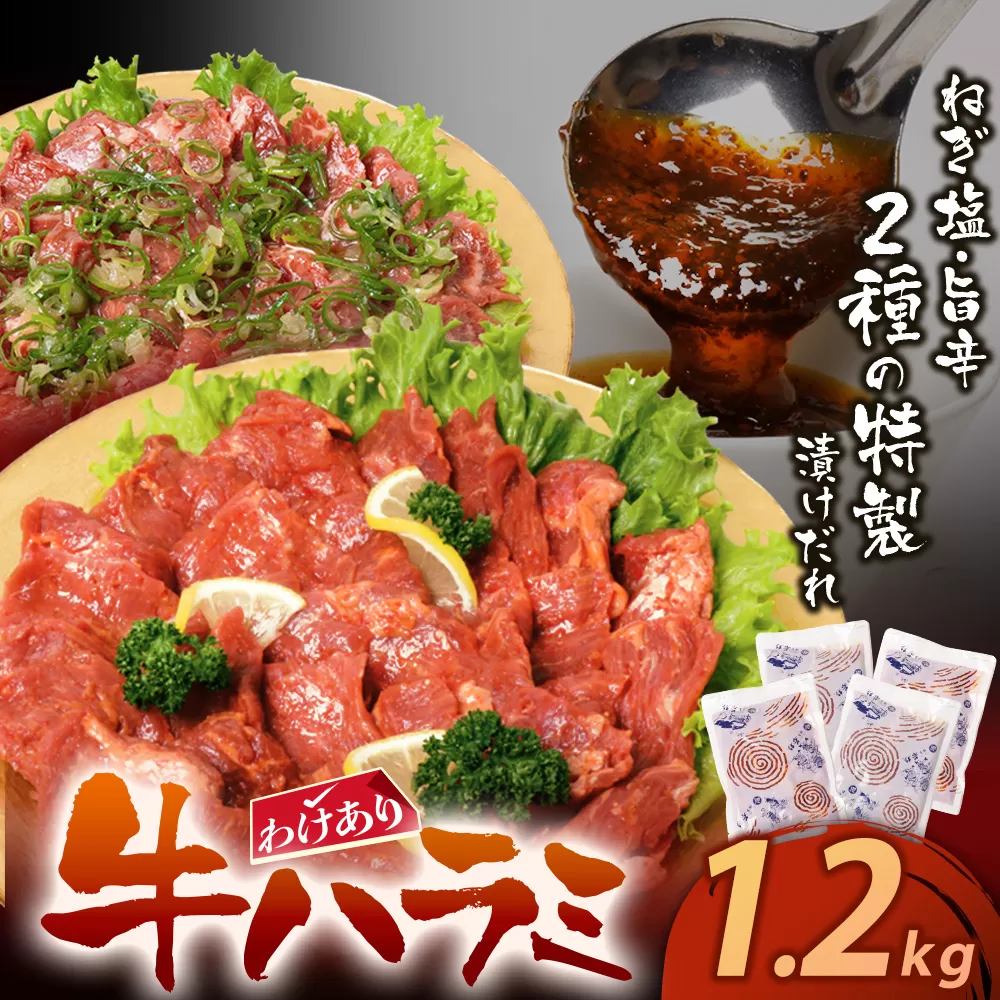 訳あり 牛ハラミ肉(旨辛、ねぎ塩) 1.2kg