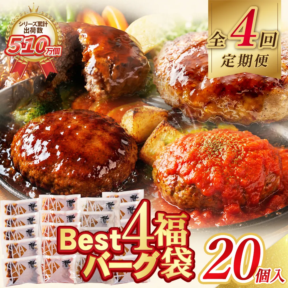 【4回定期便】Best4バーグ ハンバーグ 20個【合挽4種･各5個】
