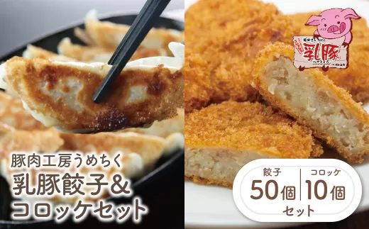 乳豚 餃子50個＆コロッケ10個セット