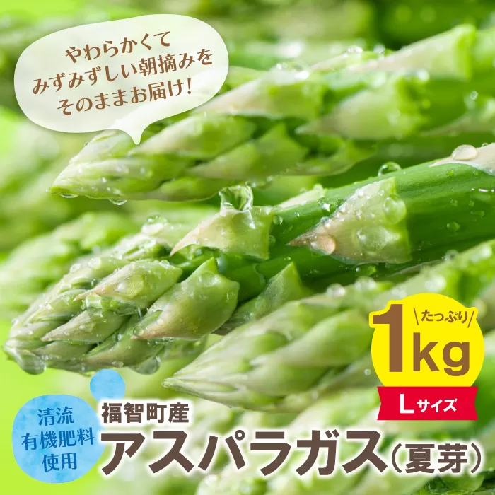 清流・自然栽培 アスパラガス(夏芽) 1kg(L)