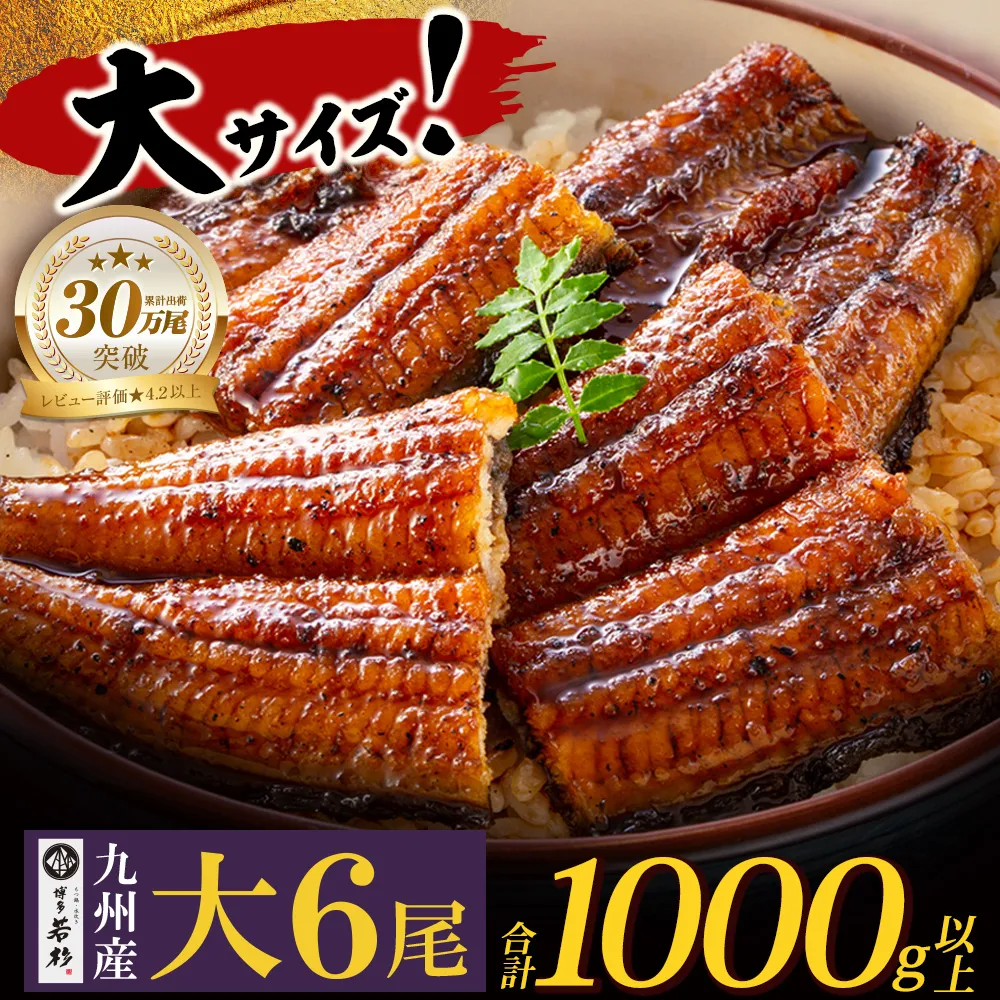 国産うなぎ蒲焼大サイズ6尾（計1000g以上）鰻蒲焼用タレ・山椒付 うなぎ生産量日本一鹿児島県産・宮崎県産・熊本県産