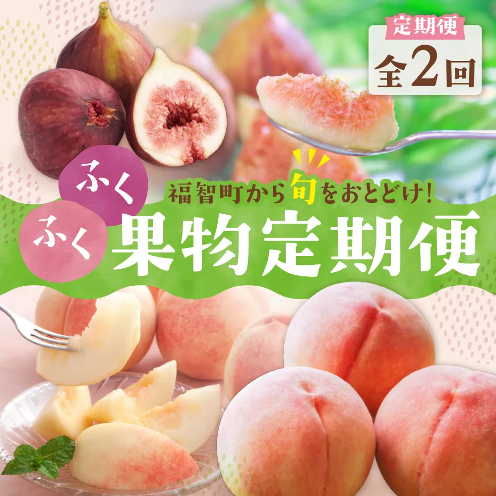 先行予約★2026年発送 ふくふく果実定期便(隔月・年2回)