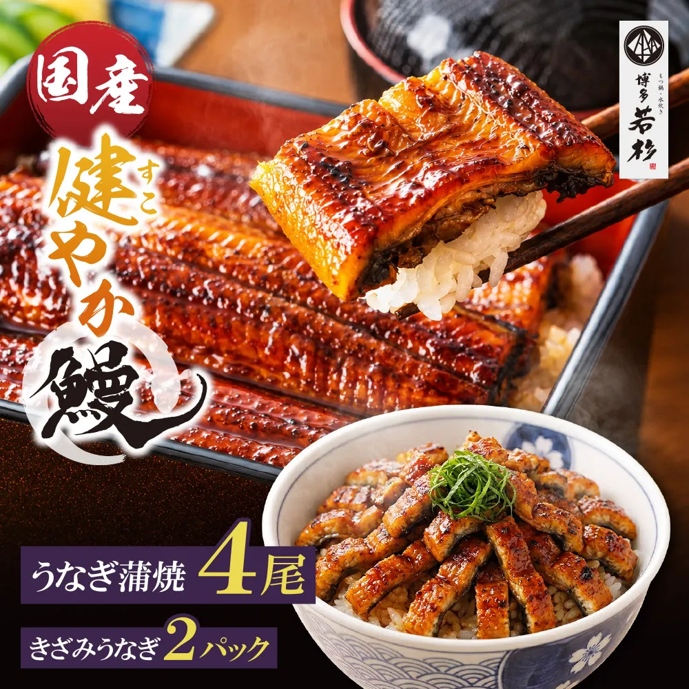 健やかうなぎ蒲焼×4尾(計620g以上) ＆ きざみうなぎ(85g)×2P