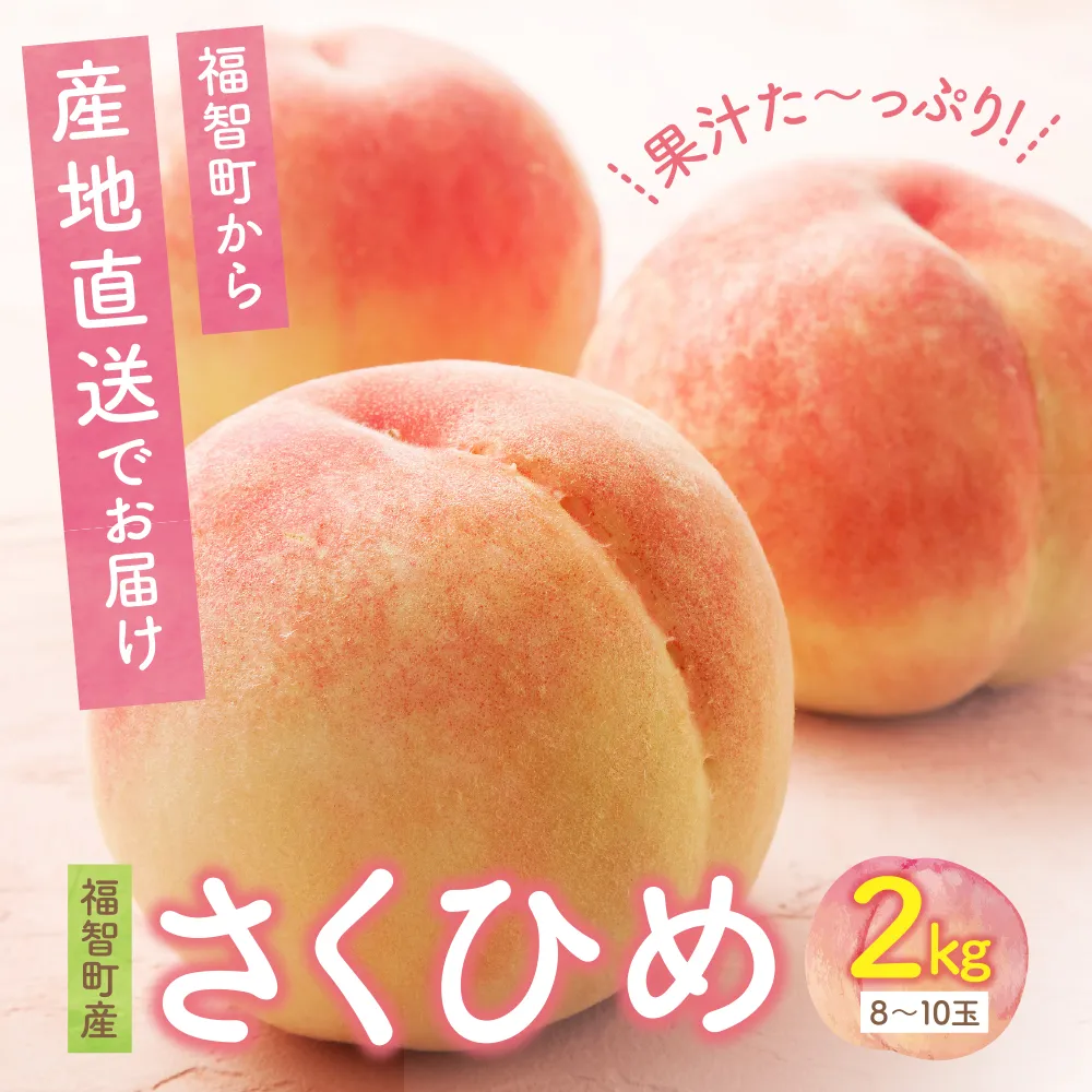 【2027年発送】★先行予約受付開始★ ハウス桃 さくひめ 約2kg 桃 もも モモ 福岡県 福智町産 さくひめ 果実 果物 くだもの フルーツ 産地直送 先行予約 送料無料