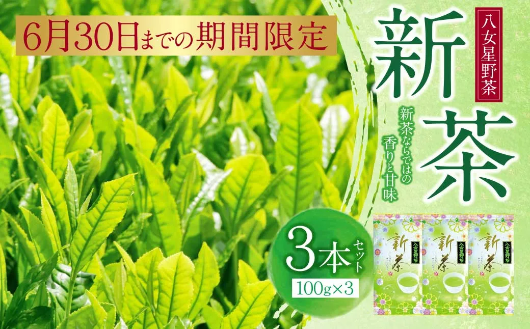 新茶 八女星野茶 100g×3本