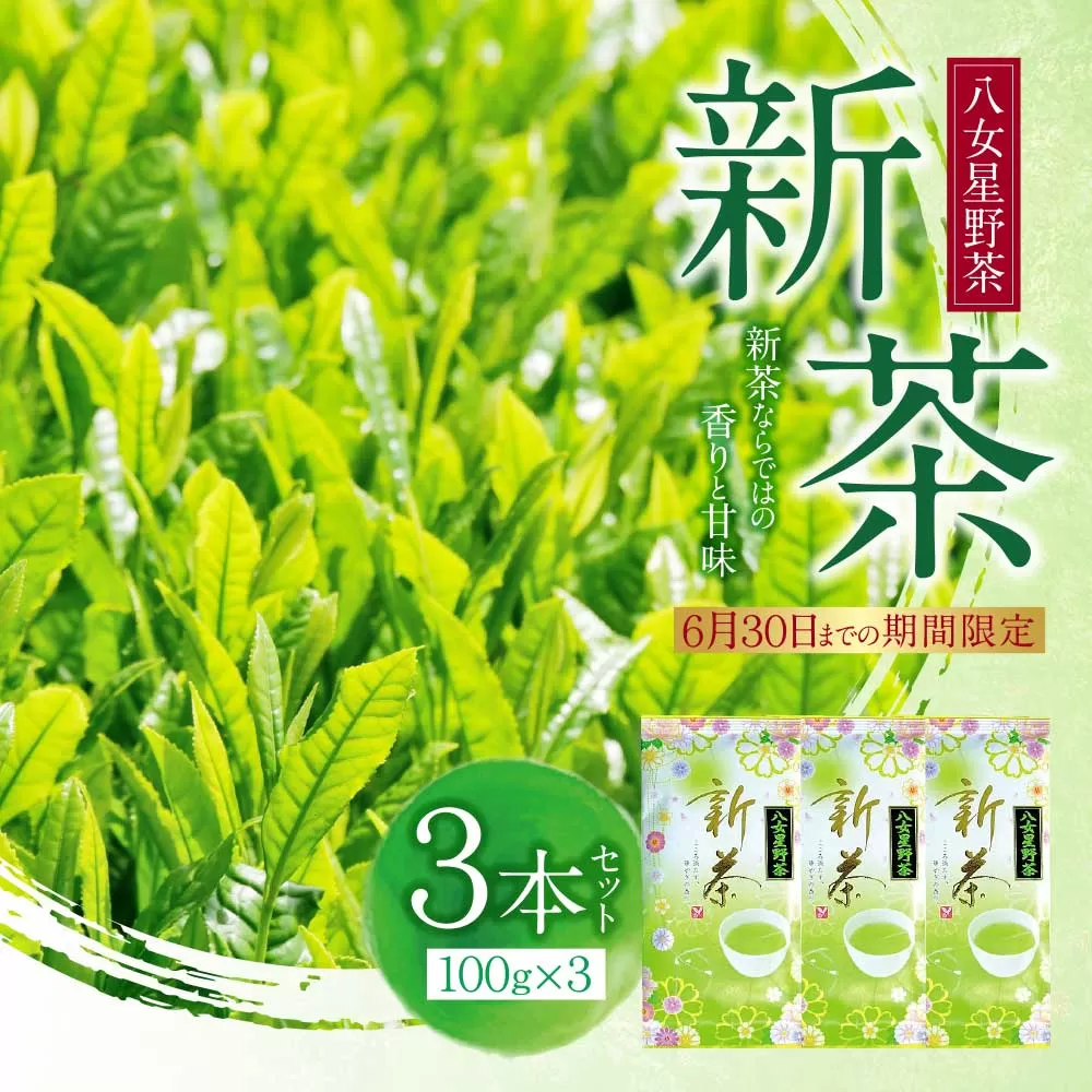 新茶 八女星野茶 100g×3本