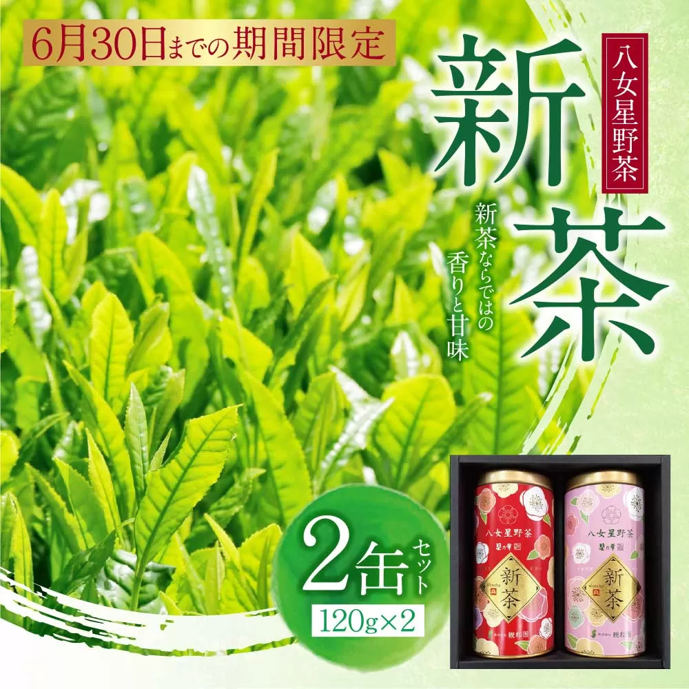 新茶 八女星野茶 120g×2本